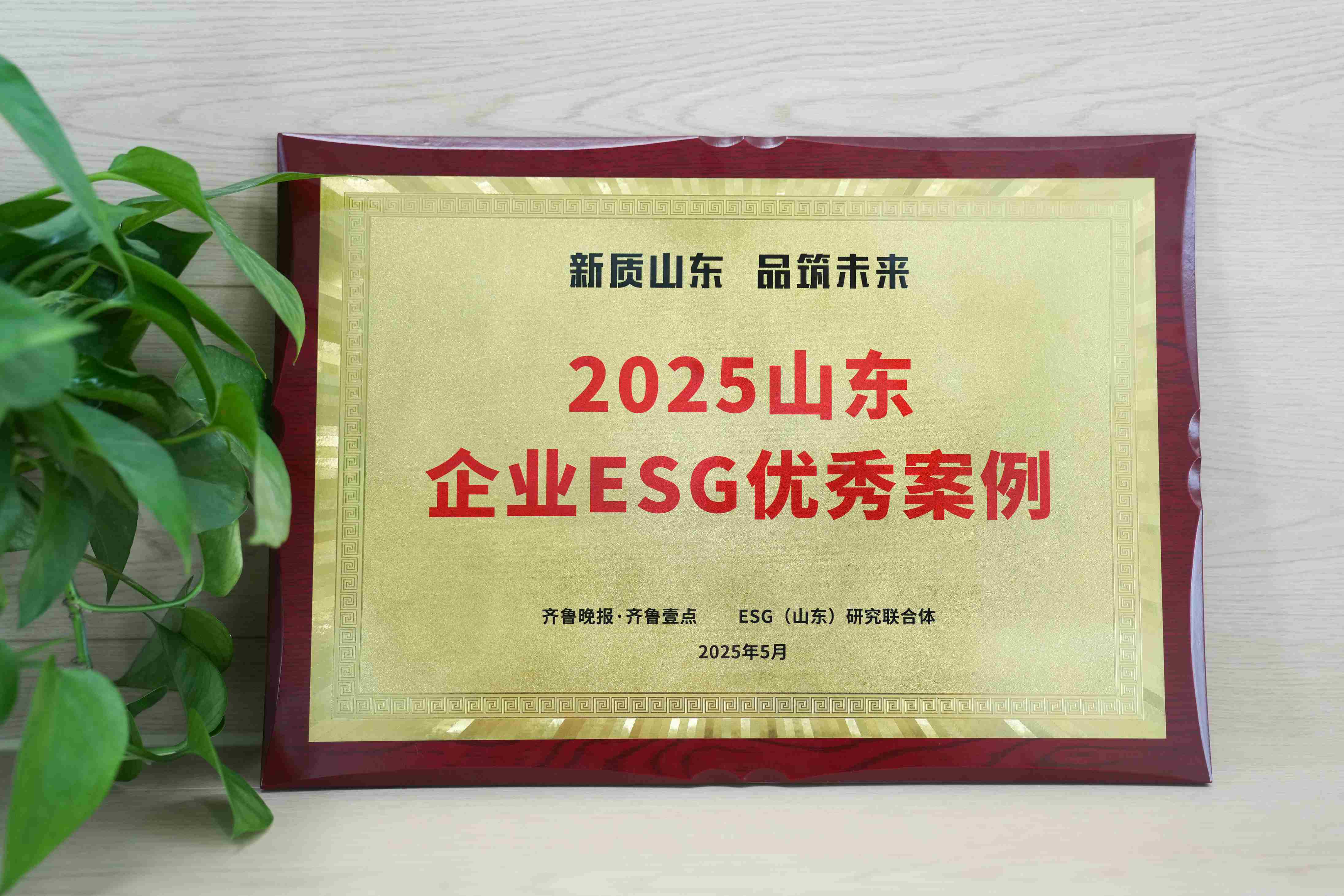 乐发welcome医疗入选2025山东企业ESG优秀案例