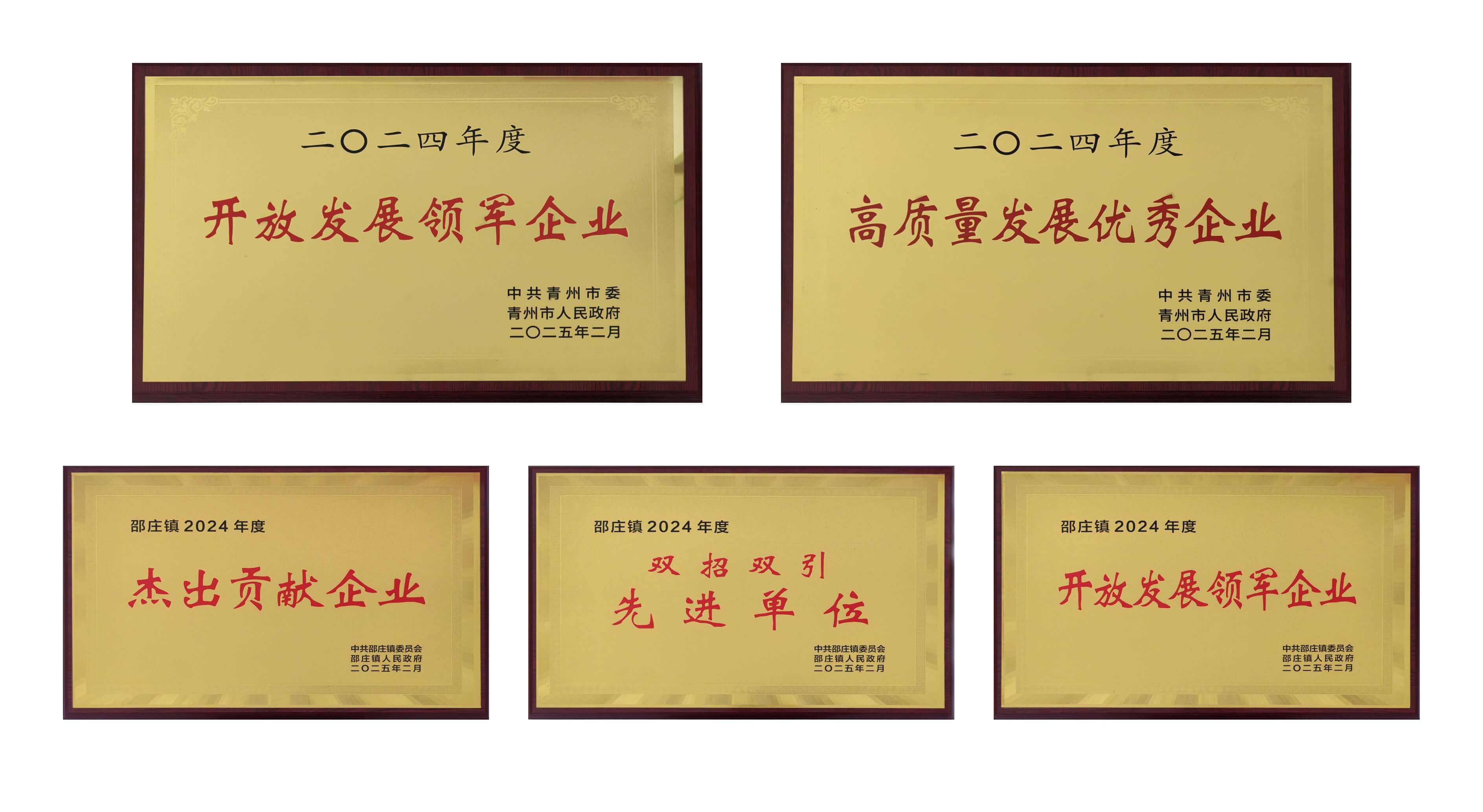 山东乐发welcome医疗荣获多项殊荣